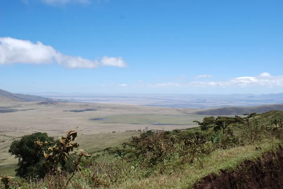 Kenya Names the Priceless: What a $160 Million Deal Teaches Us About Gratitude