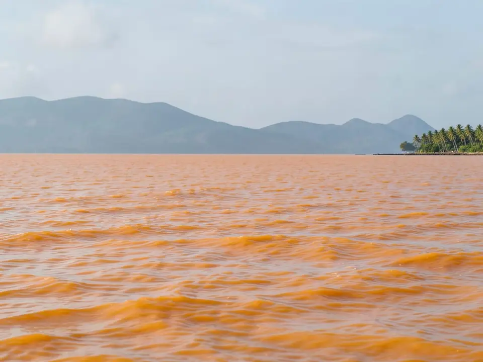 A vast expanse of warm-toned tropical ocean water stretching to the horizon, representing El Niño, which has continued to strengthen with several key measures now in record territory. AI-generated editorial illustration; not a documentary photograph