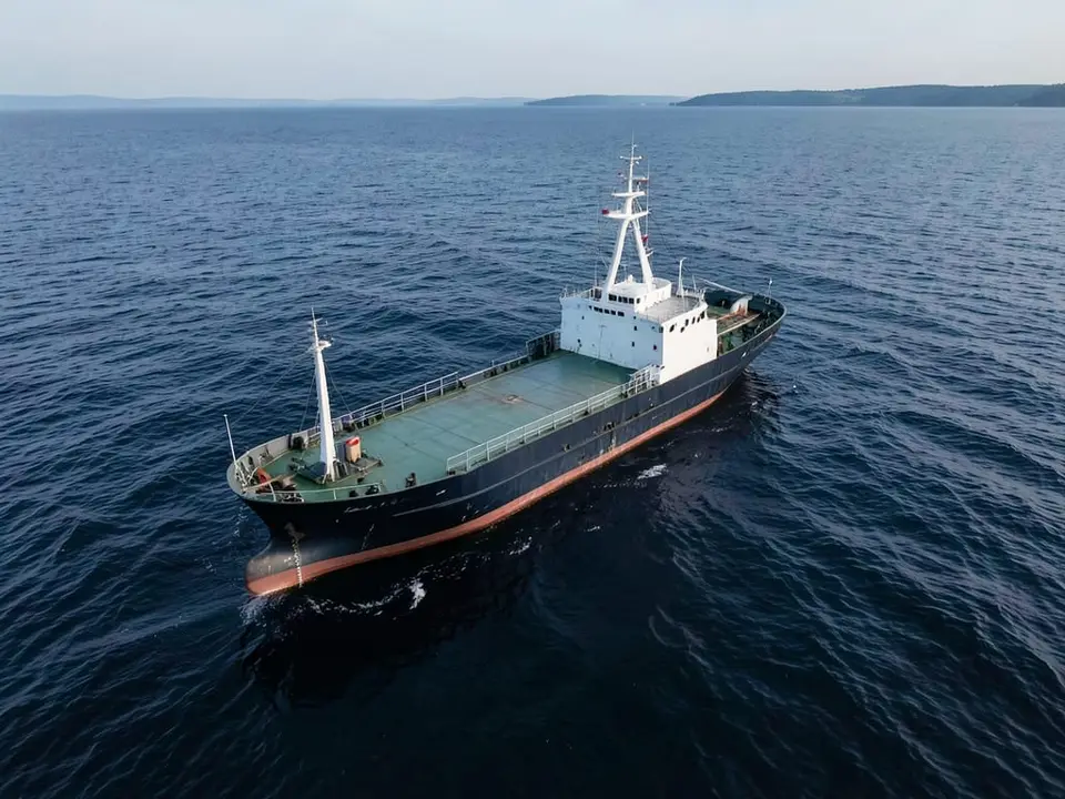 A Turkish-operated merchant vessel on the Black Sea, one of two Turkish-operated vessels struck as a result of the war between Russia and Ukraine. AI-generated editorial illustration; not a documentary photograph