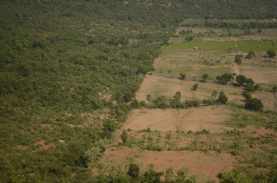 What Do We Owe the Old Crops? Africa's Green Revolution Is Trading Away Seeds