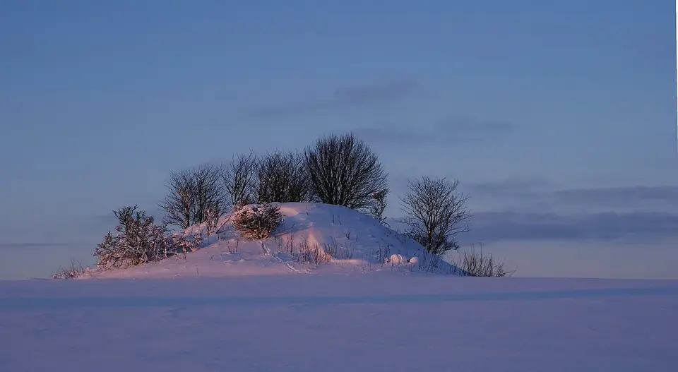 37,000 Acres of Swedish Forest Changed Hands Quietly — and Hunters Lost Their Leases