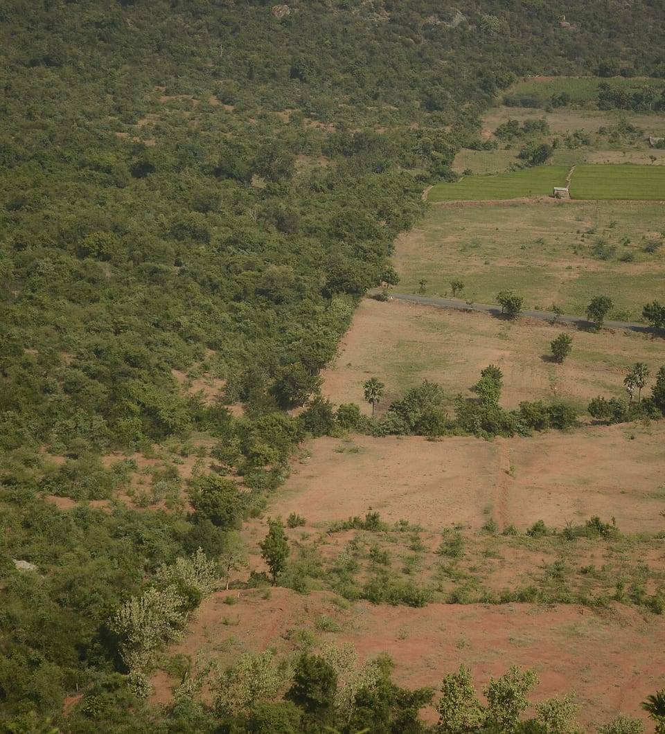 What Do We Owe the Old Crops? Africa's Green Revolution Is Trading Away Seeds